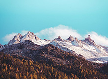 开云APP-国安亚冠大名单：费尔南多、阿兰在列 巴坎布缺席