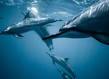 开云体育下载网址-​首尔新帅：每一场比赛都是决赛 已为比赛做好准备