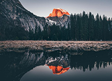 美国疫情严重加拿大不敢放行 猛龙新赛季搬到坦帕